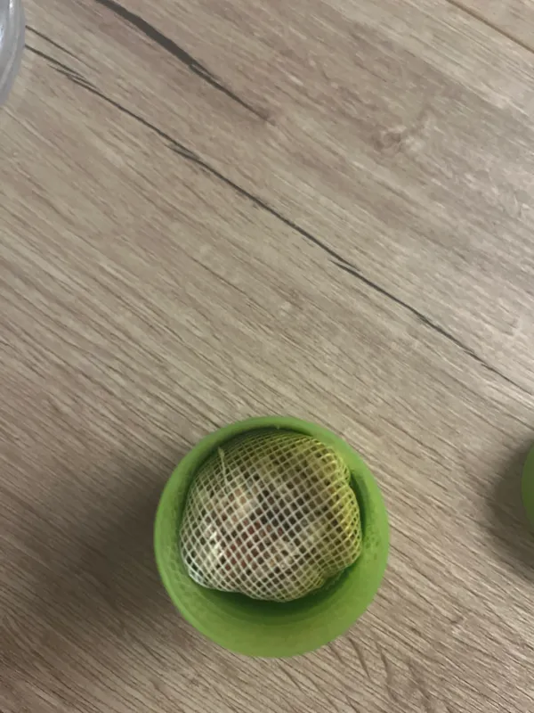 Foto de Jean